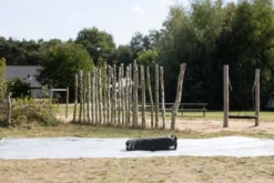 ESVO Bedouin 200 Piramidetent - 2 Persoons -Buiten Kamperen esvo bedouin 200 2 persoons 24